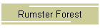 Rumster Forest